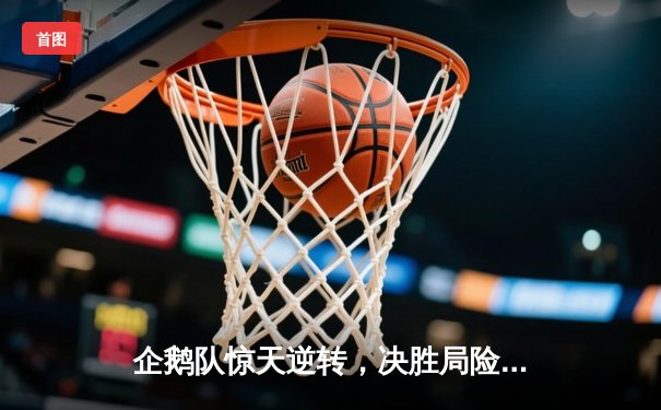 企鹅队惊天逆转，决胜局险胜海豹队赢得冰原杯开门红