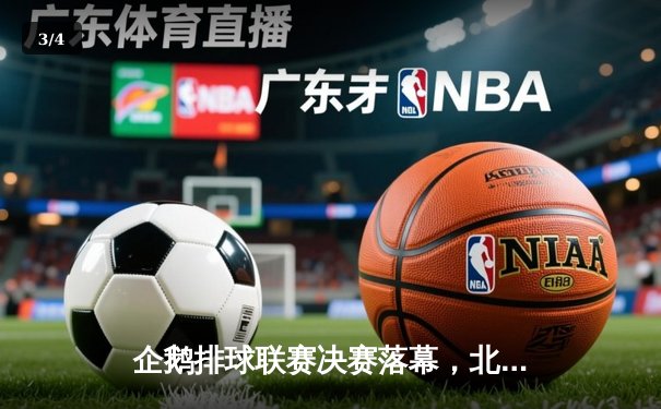 企鹅排球联赛决赛落幕，北极光队鏖战五局逆转夺冠 - 3