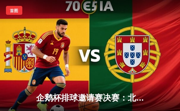 企鹅杯排球邀请赛决赛：北极光队3-2逆转雪豹队夺冠，李伟狂砍28分荣膺MVP