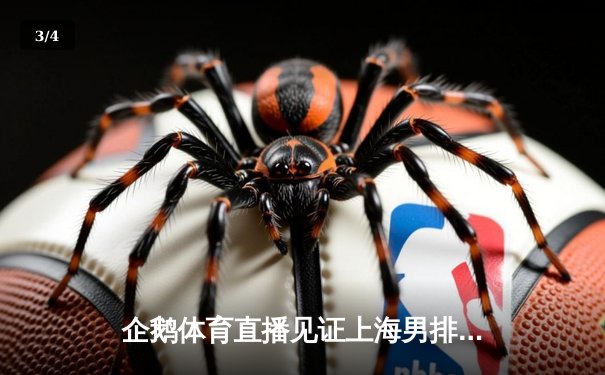 企鹅体育直播见证上海男排惊天逆转 3-2力克北京夺联赛冠军 - 3